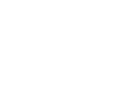 Logo VALET DRIVE blanc